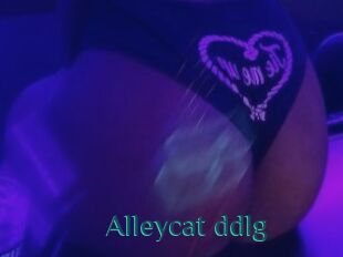 Alleycat_ddlg