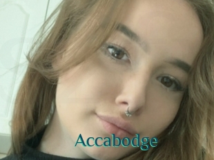 Accabodge