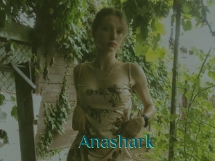 Anashark