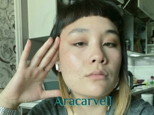 Aracarvell