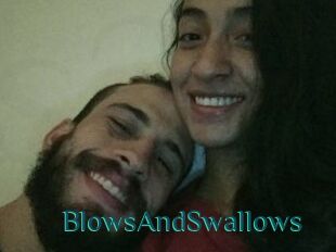 BlowsAndSwallows