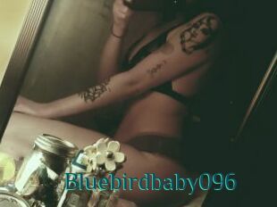 Bluebirdbaby096