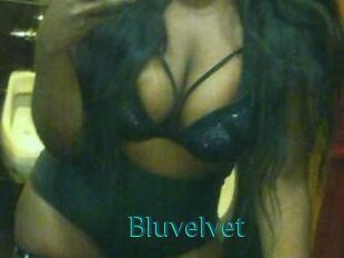 Bluvelvet