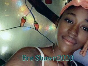 Bre_Shawn2020