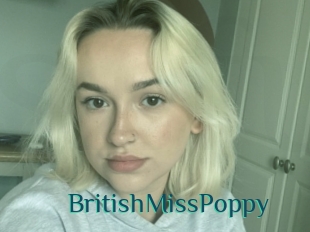 BritishMissPoppy