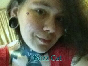 Buzz_Cat