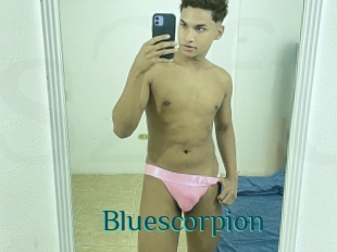 Bluescorpion