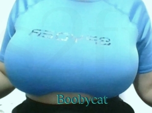 Boobycat