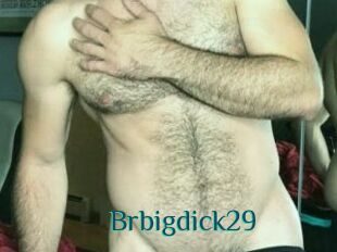 Brbigdick29