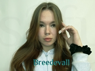 Breedevall