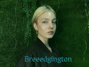 Breeedgington