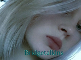 Bridgetalkins