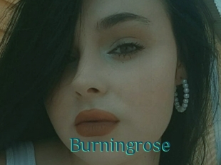 Burningrose