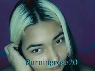 Burningrose20