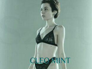 CLEO_MINT