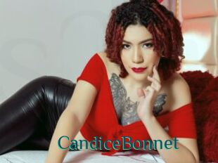 CandiceBonnet