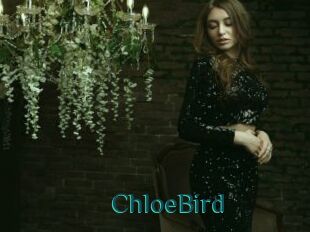 ChloeBird