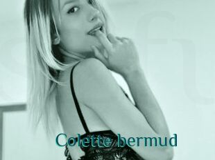 Colette_bermud