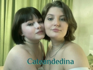 Cateandedina