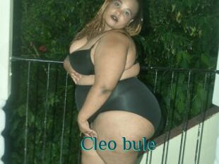 Cleo_bule