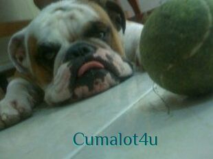 Cumalot4u