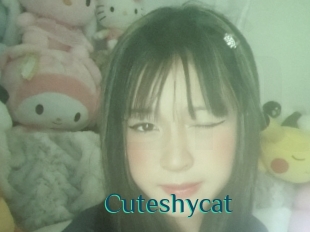 Cuteshycat