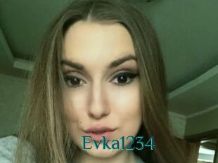 Evka1234