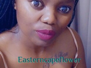 Easterncapeflower