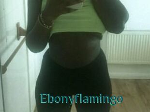 Ebony_flamingo