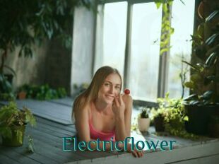 Electricflower