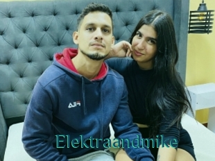 Elektraandmike