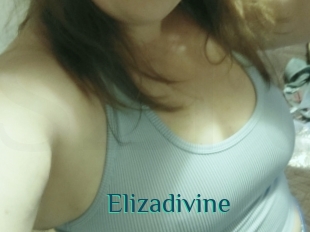 Elizadivine