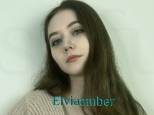 Elviaamber