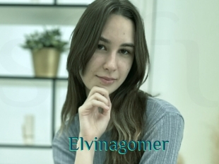 Elvinagomer