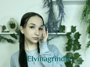 Elvinagrindle