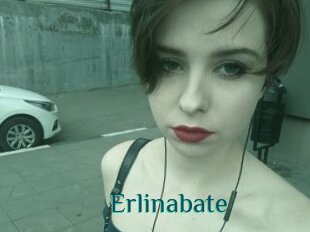 Erlinabate