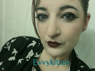 Evvykitten