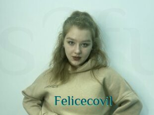 Felicecovil