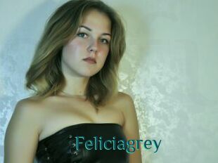 Feliciagrey