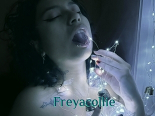 Freyacollie