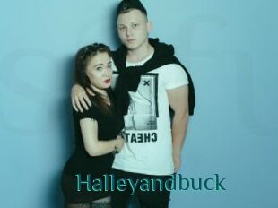 Halleyandbuck