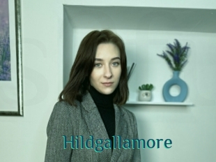 Hildgallamore