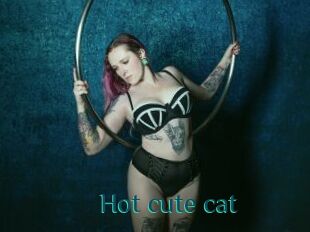 Hot_cute_cat