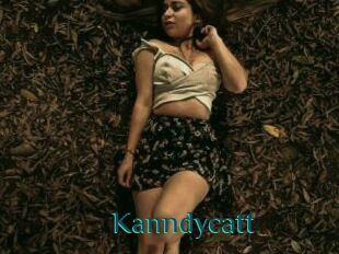 Kanndycatt