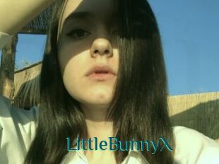 LittleBunnyX