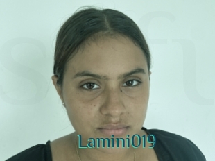 Lamini019