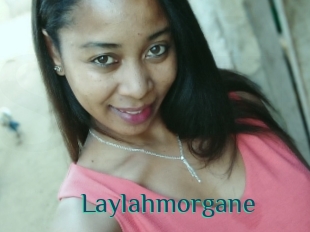 Laylahmorgane