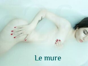 Le_mure