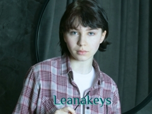 Leanakeys