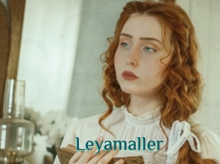 Leyamaller